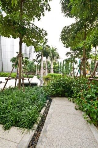 Millennium-Residence-Bangkok-Outside-and-Facilities-www.millenniumresidence.net-12 Millennium Residence Bangkok - Outside and Facilities - www.millenniumresidence.net -