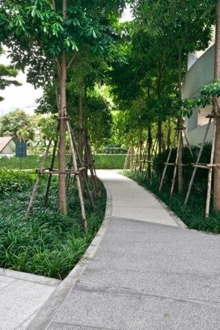 Millennium-Residence-Bangkok-Outside-and-Facilities-www.millenniumresidence.net-16 Millennium Residence Bangkok - Outside and Facilities - www.millenniumresidence.net -