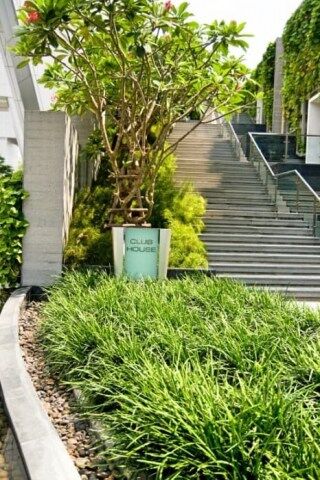 Millennium-Residence-Bangkok-Outside-and-Facilities-www.millenniumresidence.net-9 Millennium Residence Bangkok - Outside and Facilities - www.millenniumresidence.net -