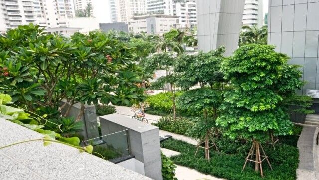 Millennium-Residence-Bangkok-Sukhumvit-www.millenniumresidence.net-38 Millennium Residence Bangkok - Outside & Facilities - www.millenniumresidence.net -