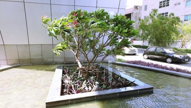 Millennium-Residence-Bangkok-www.millenniumresidence.net-6 Millennium Residence in Bangkok - Luxury Condominium - www.millenniumresidence.net